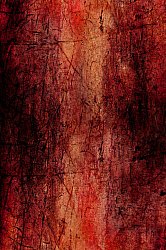Wilton rug - Wells (red)