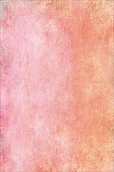 Wilton rug - Baden (pink)