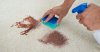 5 Top Tips to Remove Stains from your Carpet