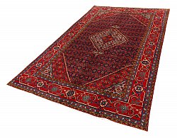 Persian rug Hamedan 285 x 192 cm