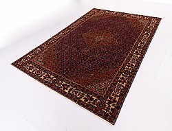 Persian rug Hamedan 284 x 196 cm