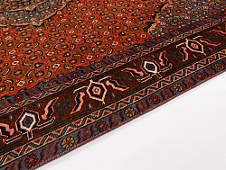 Persian rug Hamedan 278 x 188 cm