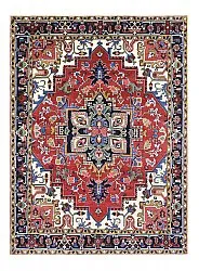 Oriental Rug - Hariz Hand Knotted - 309 x 432 cm