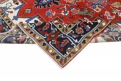Oriental Rug - Hariz Hand Knotted - 309 x 432 cm