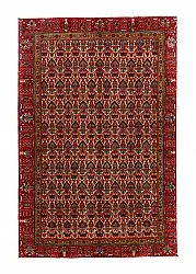 Oriental Rug Hamedan 287 x 186 cm