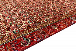 Persian rug Hamedan 287 x 186 cm