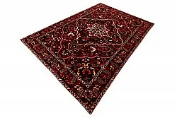 Oriental Rug Hamedan 298 x 202 cm