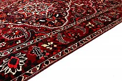 Oriental Rug Hamedan 298 x 202 cm