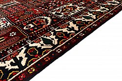 Persian rug Hamedan 307 x 214 cm