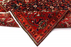 Persian rug Hamedan 287 x 201 cm