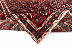 Persian rug Hamedan 276 x 197 cm