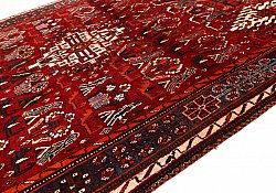 Persian rug Hamedan 265 x 175 cm