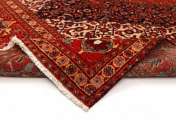 Persian rug Hamedan 309 x 205 cm