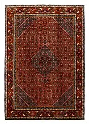 Oriental Rug Hamedan 279 x 195 cm