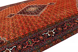 Persian rug Hamedan 281 x 198 cm