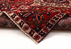 Persian rug Hamedan 294 x 208 cm