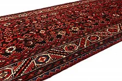 Oriental Rug Hamedan 322 x 114 cm