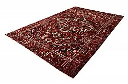 Oriental Rug Hamedan 308 x 199 cm