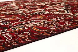 Oriental Rug Hamedan 308 x 199 cm