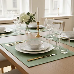 Placemat - 2 pack Niva (light green)