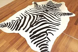 Zebrahide 14