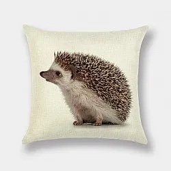 Cushion cover 50 x 50 cm