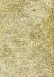 Wilton rug - Campana (gold)