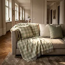 Cushion cover - Isela check cotton cushion cover (cream/light green)