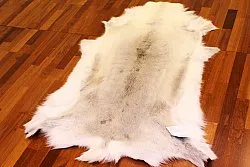 Reindeer skin - XXL # 23
