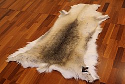 Reindeer skin - XXL # 41