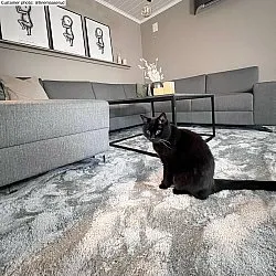 Shaggy rugs - Aranga Super Soft Fur (grey)