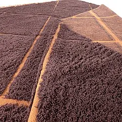 Shaggy rugs - Bellevue Natural Cotton Shaggy (red/orange)