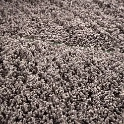 Shaggy rugs - Bellevue Natural Cotton Shaggy (taupe/green)