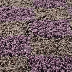Round rug - Elsey Natural Cotton Shaggy (brown/purple)