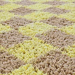 Round rug - Elsey Natural Cotton Shaggy (yellow/beige)