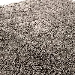 Shaggy rugs - Farley Natural Cotton Shaggy (taupe)
