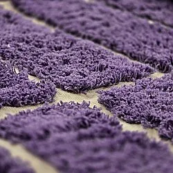Round rug - Ikara Natural Cotton Shaggy (purple)
