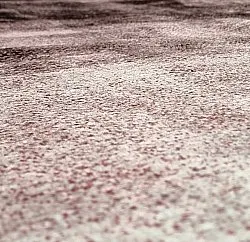 Wilton rug - Olmedo (grey/pink)
