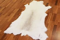 Reindeer skin - XXL # 54