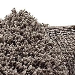 Round rug - Combarro Solid Cotton Shaggy (taupe)