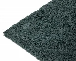 Shaggy rugs - Cloud Super Soft (green)
