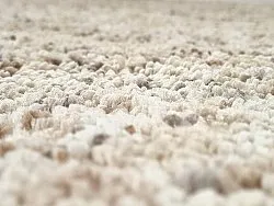 Shaggy rugs - Carl (beige)