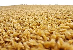 Shaggy rugs - Zoe (ochre)