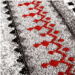 Wilton rug - Elduvik (red)