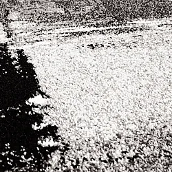 Wilton rug - Nesvik (grey)