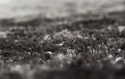 Shaggy rugs - Shaggy Luxe (anthracite)