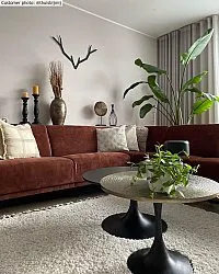 Shaggy rugs - Orellana (beige)