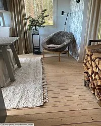 Shaggy rugs - Orellana (beige)
