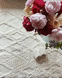 Shaggy rugs - Rostock (offwhite)