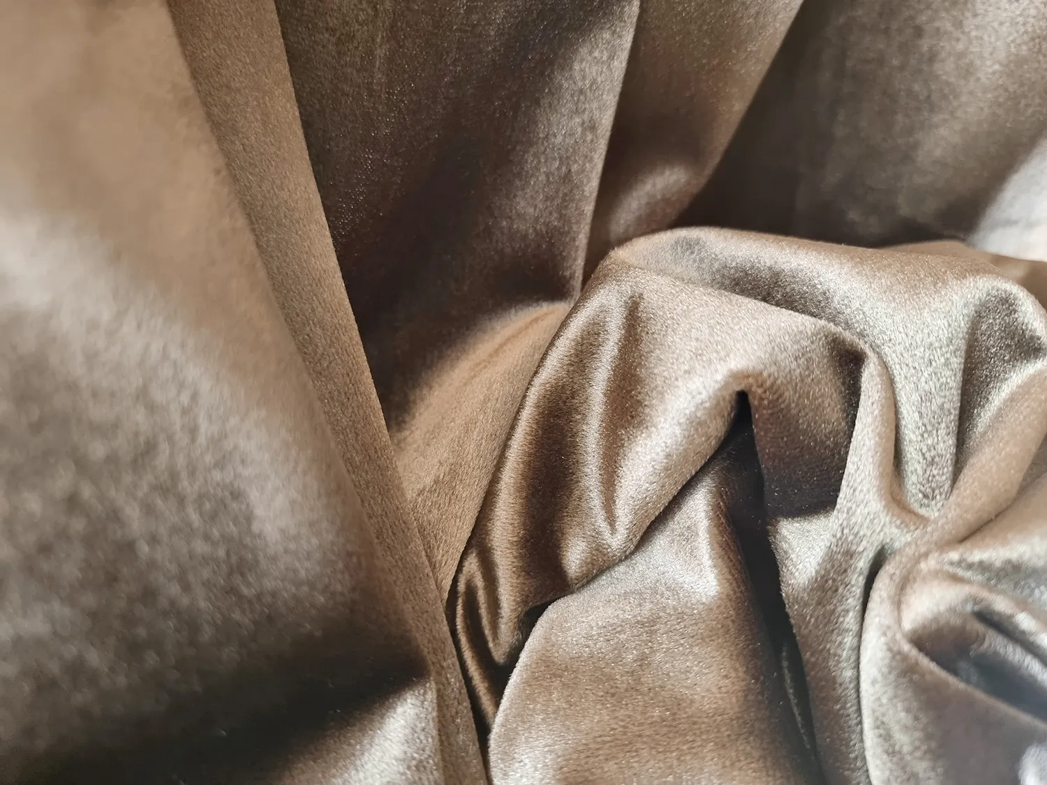 Curtains - Velvet curtains Marlyn (brown)